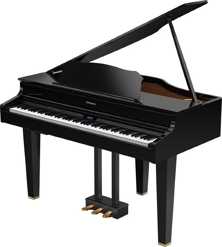 Фото Roland GP607-PE