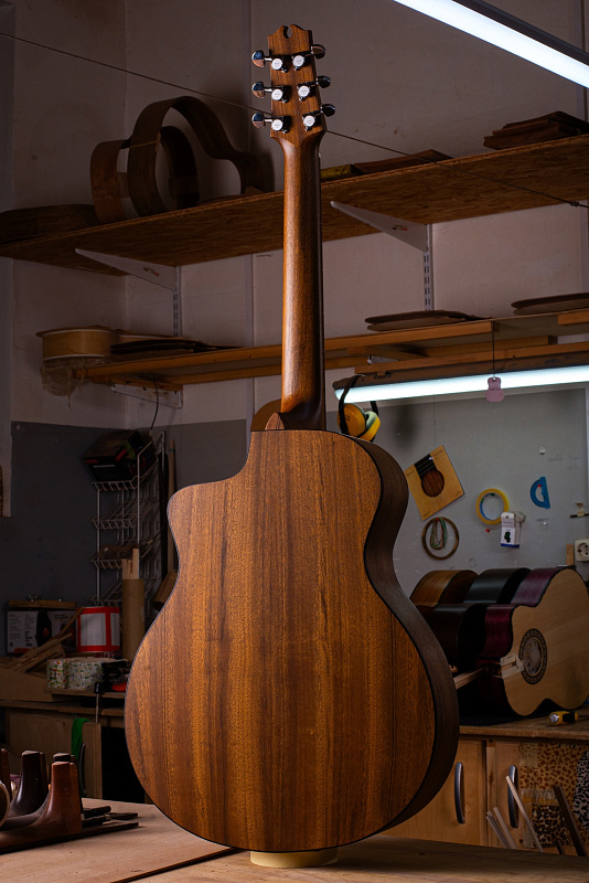 Фото Акустическая гитара NewTone Berlandiera GA CED C N