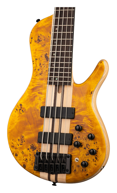 Фото Бас-гитара Cort A5-Plus-SC-AOP Artisan Series, янтарь
