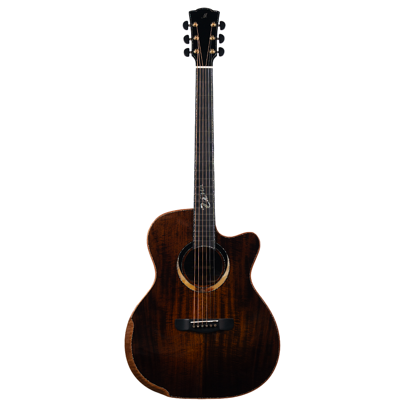 Фото Гитара акустическая Meridaextrema Gloria V-GAC с чехлом