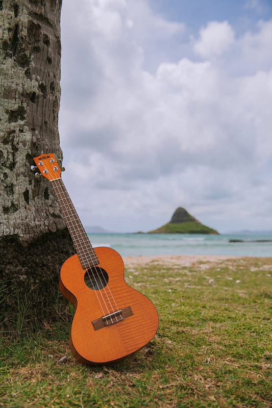 Фото KALA KA-CEM Kala Concert Exotic Mahogany Ukulele
