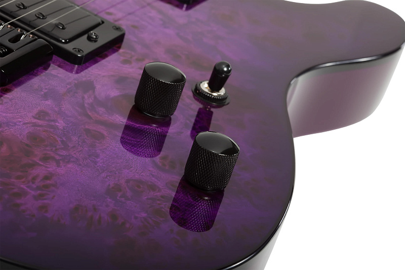 Фото Электрогитара Schecter PT STANDARD PBB