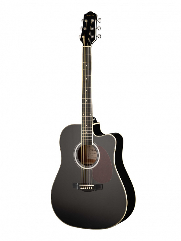 Акустическая гитара Naranda DG220CBK в магазине Music-Hummer