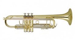 Труба WISEMANN DTR-250