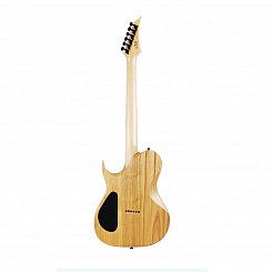 Гитара электрическая Solar Guitars T2.6N