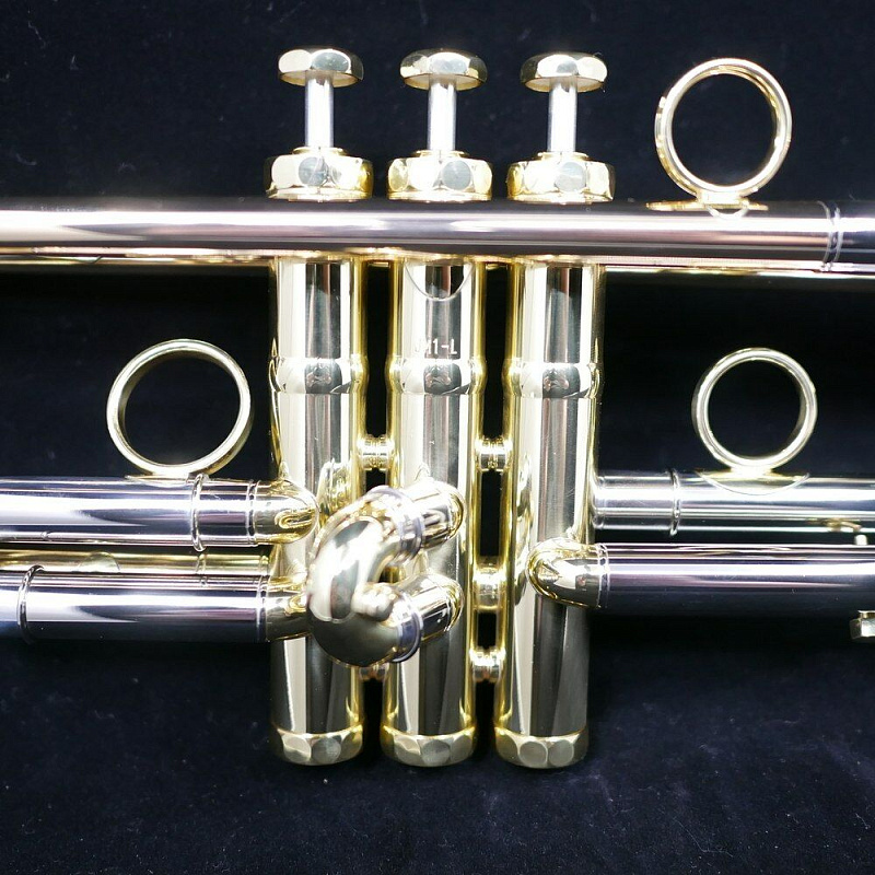 Фото Schagerl Academica Signature James Morrison Large Bore JM1X-L Bb