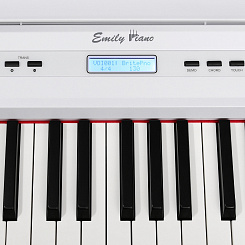Цифровое фортепиано EMILY PIANO D-20 WH