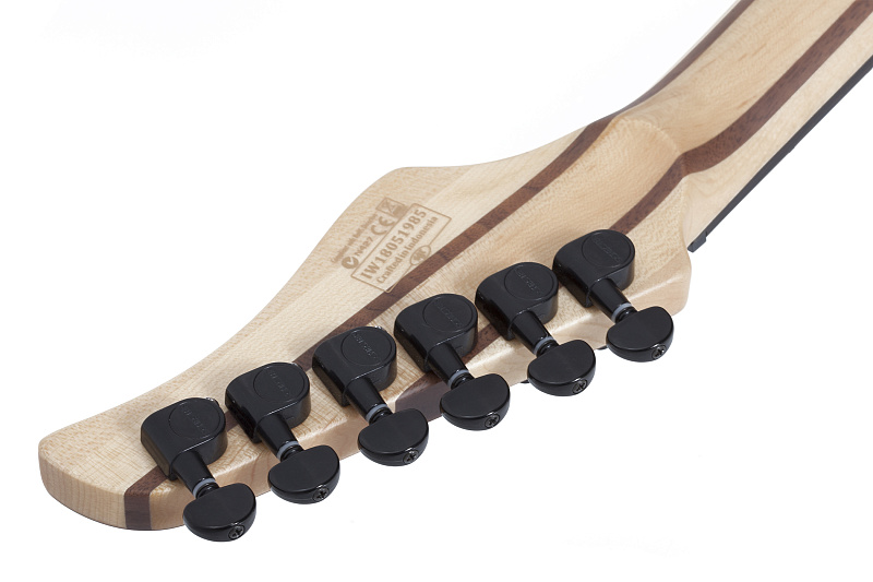 Фото Электрогитара Schecter REAPER-6 SCB