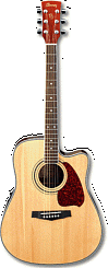 Электроакустическая гитара Ibanez PF60SECE NT