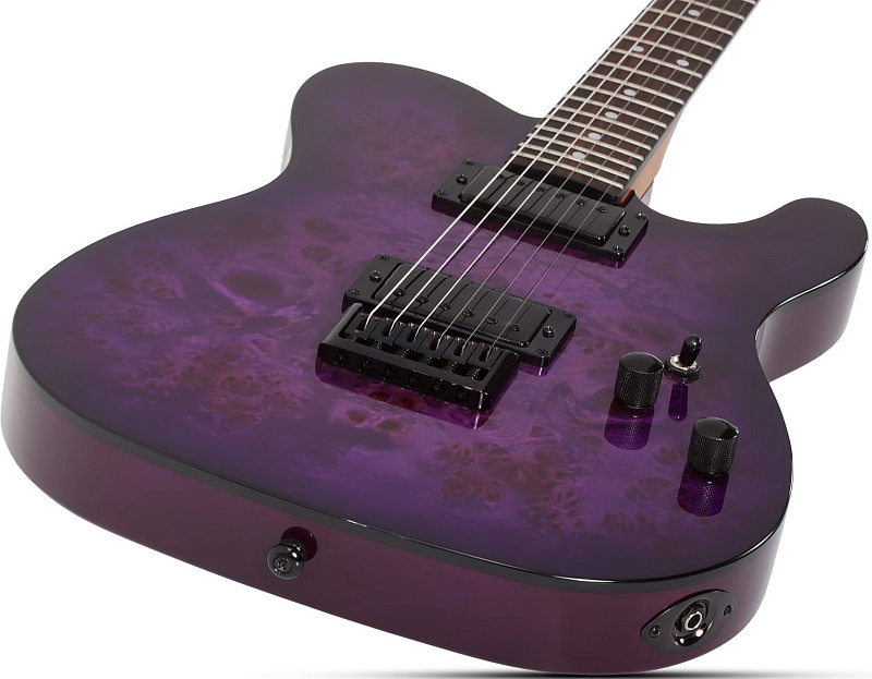 Фото Электрогитара Schecter PT STANDARD PBB