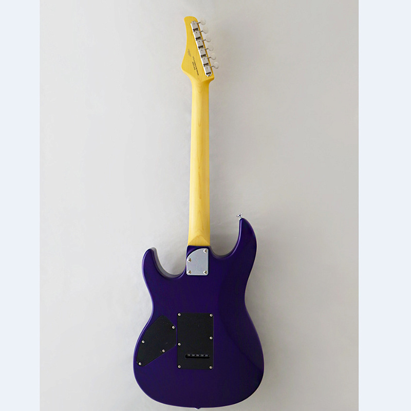 Фото Электрогитара FGN J-Standard Odyssey JOS2DUFMR TPF