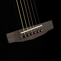 Акустическая гитара Cort L60-BK Luce Series, чёрный