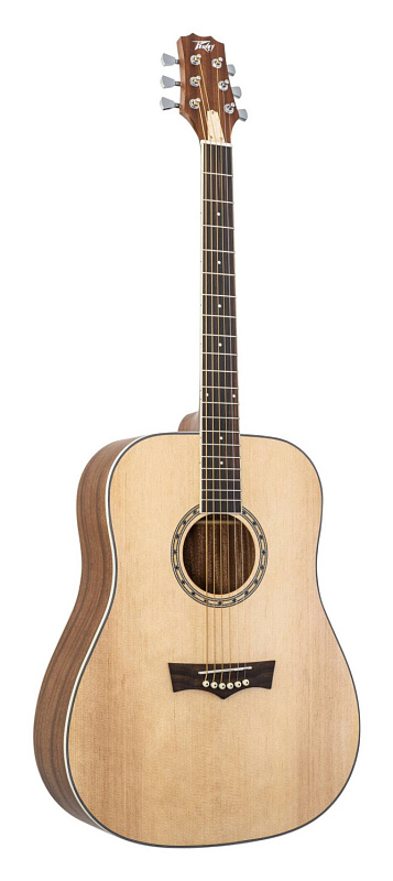 Фото Акустическая гитара PEAVEY DW 2