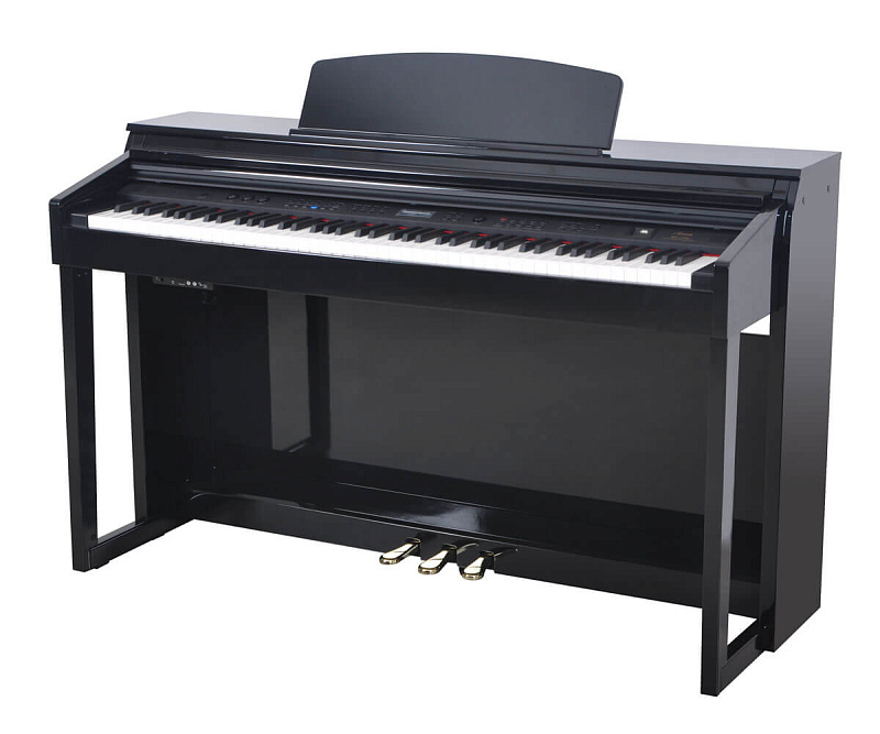 Фото Artesia DP-150e Black Polish