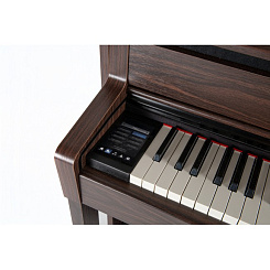 GEWA UP 400 Rosewood