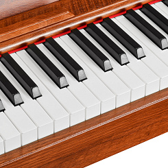 Цифровое фортепиано EMILY PIANO D-47 BR