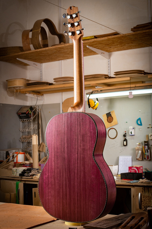 Фото Акустическая гитара NewTone ИРГА 17 S CT N