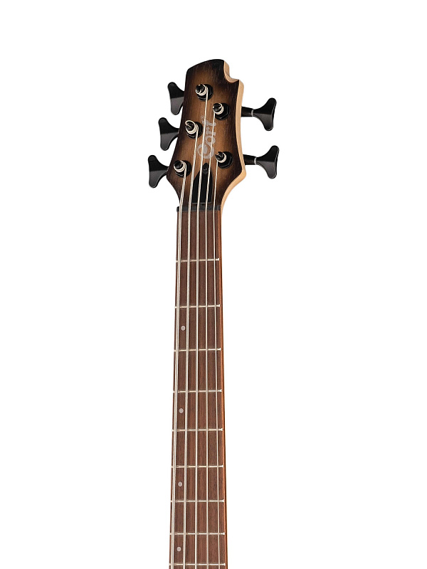 Фото Бас-гитара Cort C5-Plus-OVMH-ABB Artisan Series