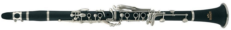Фото ROY BENSON CB-318 Bb
