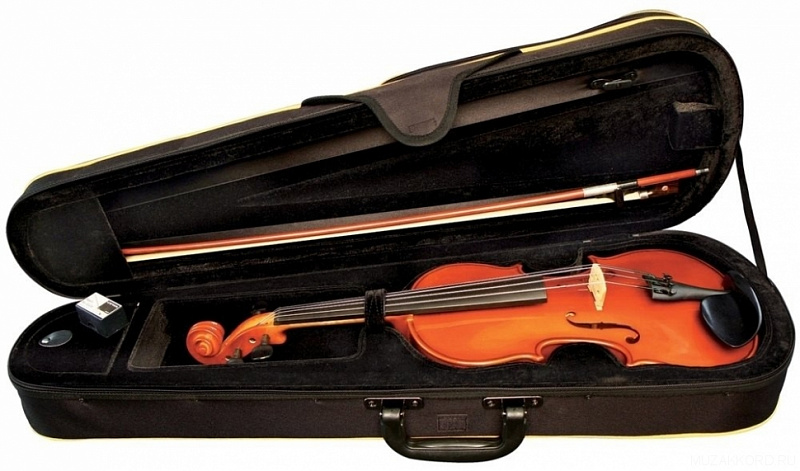 GEWA Violin Outfit Allegro 1/8 в магазине Music-Hummer
