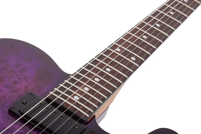 Фото Электрогитара Schecter PT STANDARD PBB
