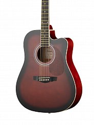 Акустическая гитара Naranda DG120CWRS