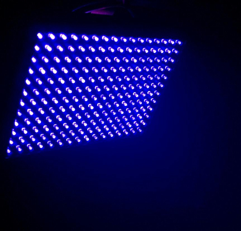 Фото CHAUVET TFX-UVLED - LED Shadow Светодиодный ультрафиолетовый прожектор