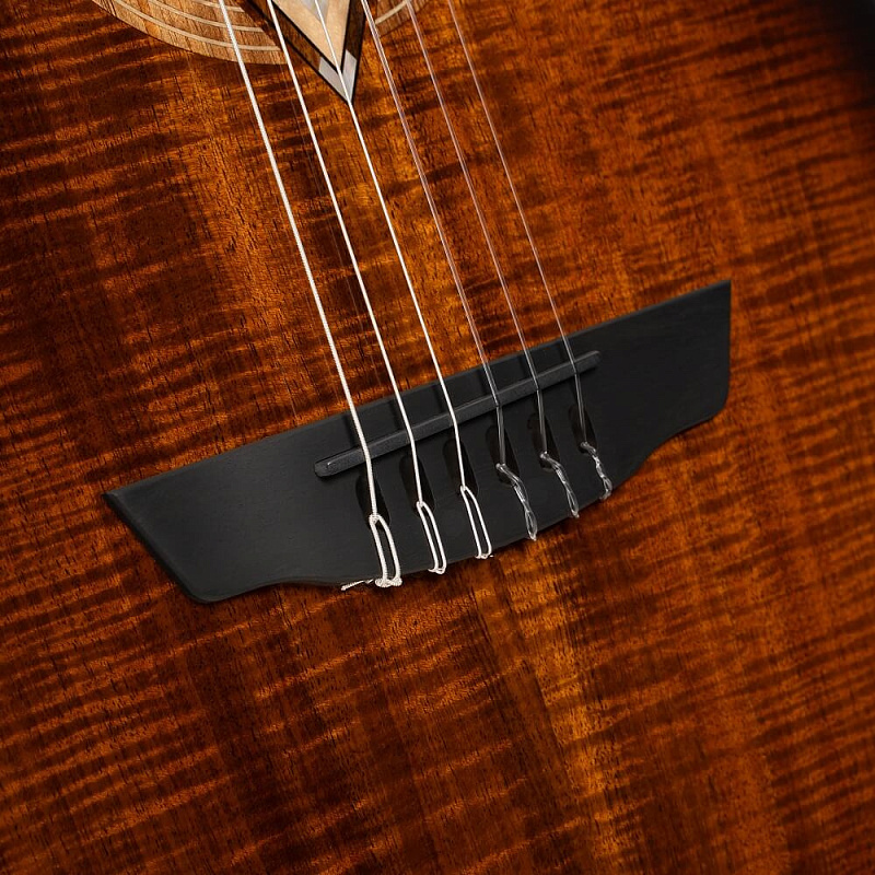 Фото Электроакустическая гитара Cort LUXE-NYLON-II-WCASE-BKB Frank Gambale Series, коричнево-чёрный берст