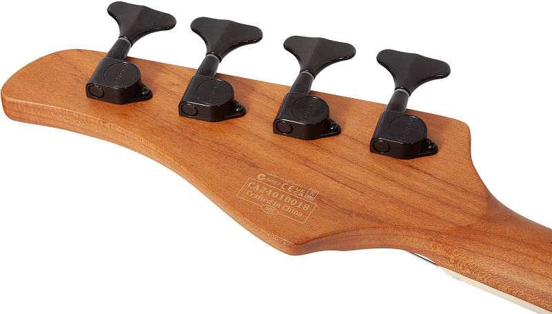 Фото Бас гитара Schecter C-4 STANDARD CS