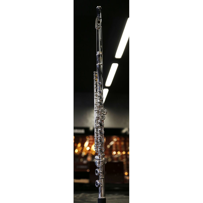 Флейта ученическая MIYASHIRU FL-116S в магазине Music-Hummer