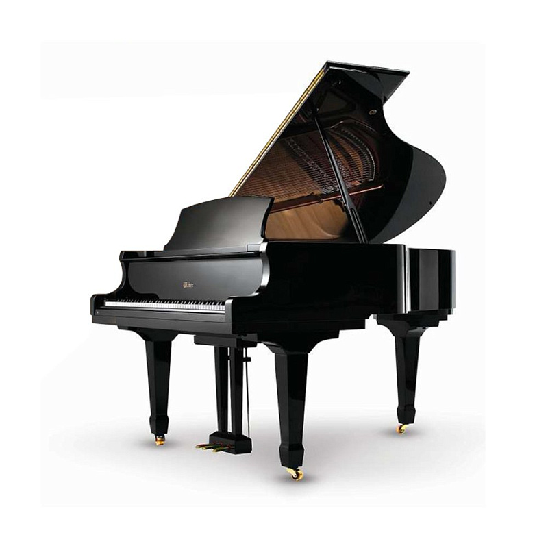 Фото Weber Professional Grand W175 черный