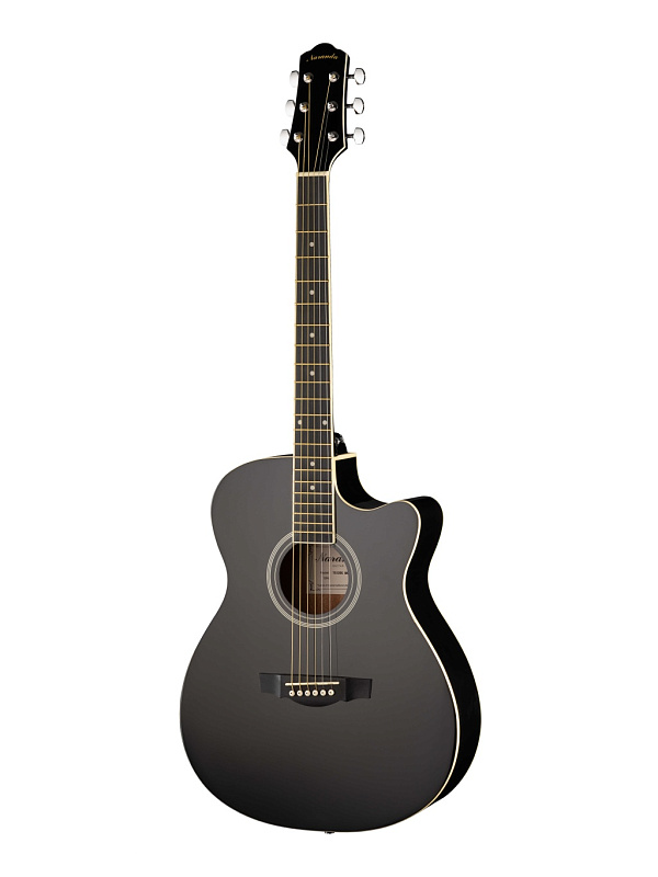 Фото Акустическая гитара Naranda TG120CBK