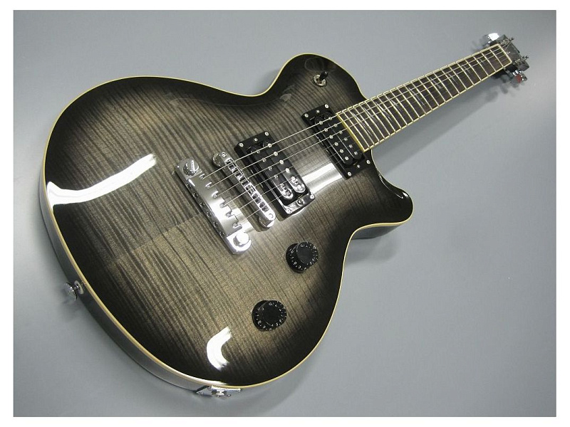 Фото FUJIGEN JFL-HH-FM TBK