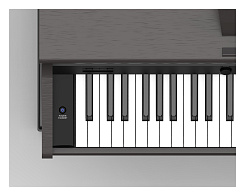 Цифровое пианино Artesia DP-30 Rosewood