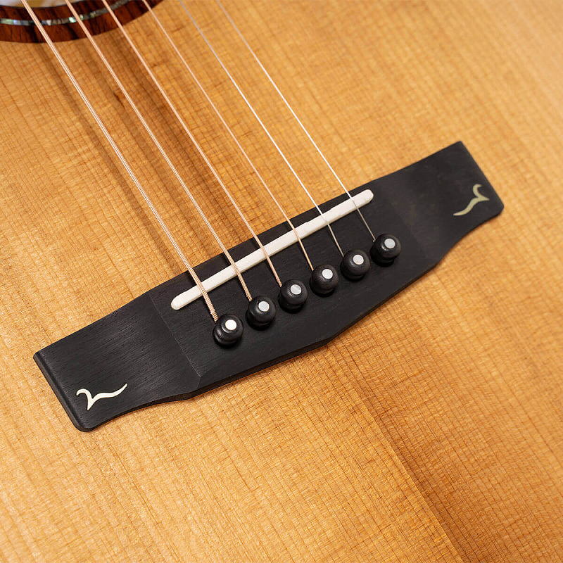 Фото Электроакустическая гитара Cort Gold-A10-Cocobolo-WCASE-NAT Gold Series