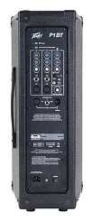 Активная акустическая система PEAVEY P2 BT Power Pole