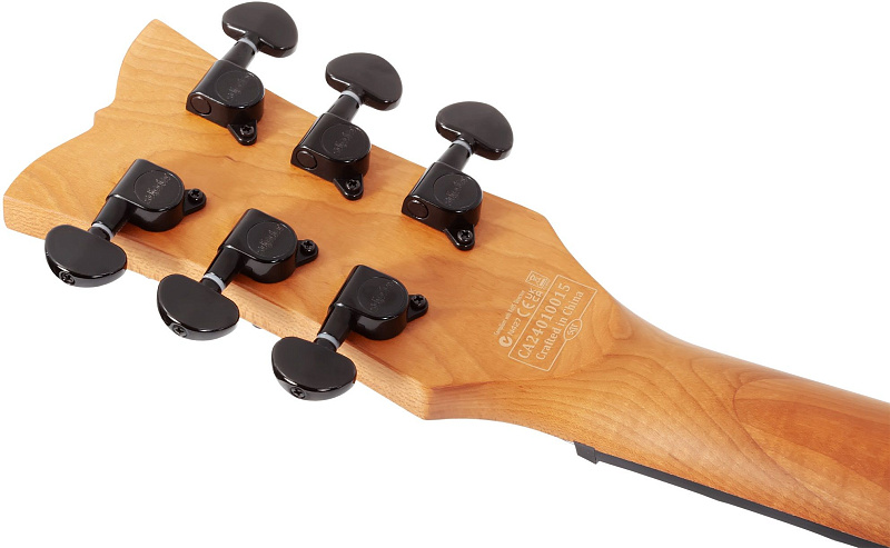 Фото Электрогитара Schecter Solo-II Standard BB