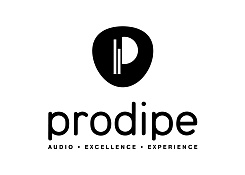 Электрогитара Prodipe JMFST93ALDERTRD