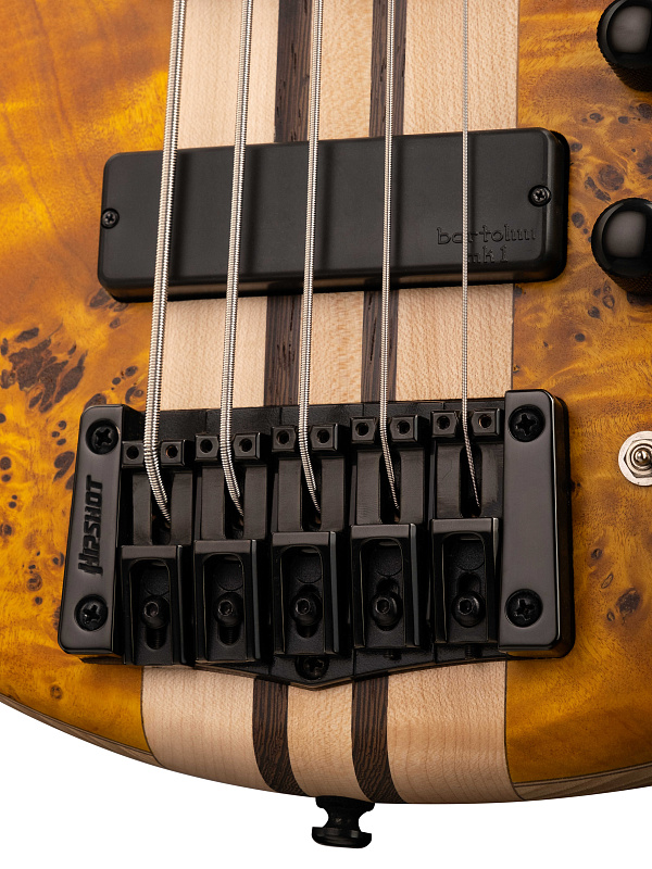 Фото Бас-гитара Cort A5-Plus-SC-AOP Artisan Series, янтарь