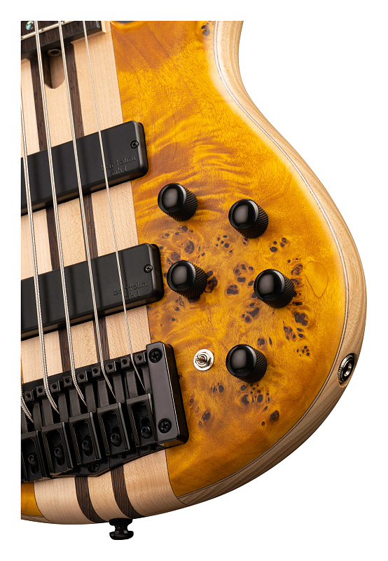 Фото Бас-гитара Cort A5-Plus-SC-AOP Artisan Series, янтарь