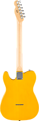 Электрогитара FENDER Standard Telecaster Butterscotch Blonde