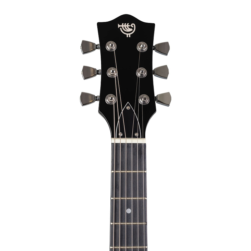 Фото Электрогитара ROCKDALE Stars LP Special BK