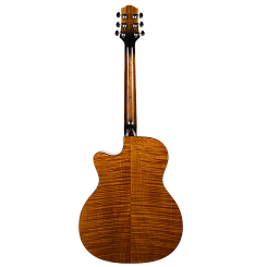 Акустическая гитара Aion F10