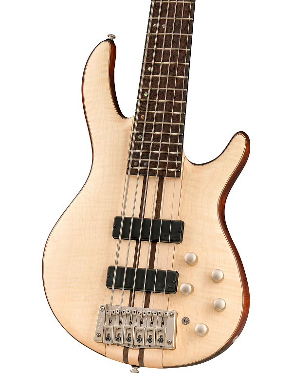 Фото Бас-гитара Cort A6-Plus-FMMH-OPN Artisan Series