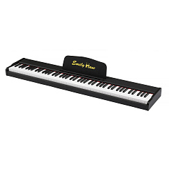 Цифровое фортепиано EMILY PIANO D-5188 BK