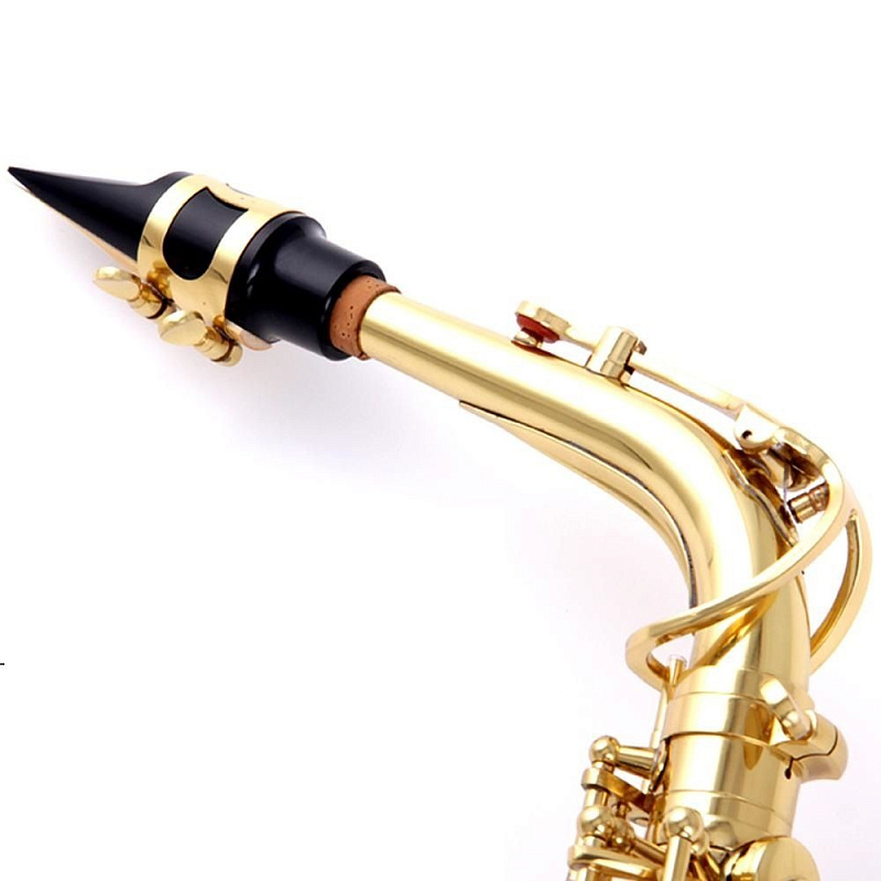 Альт-саксофон Stephan Weis AS-100G в магазине Music-Hummer