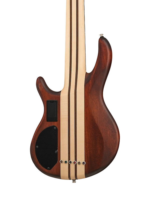 Фото Бас-гитара Cort A6-Plus-FMMH-OPN Artisan Series