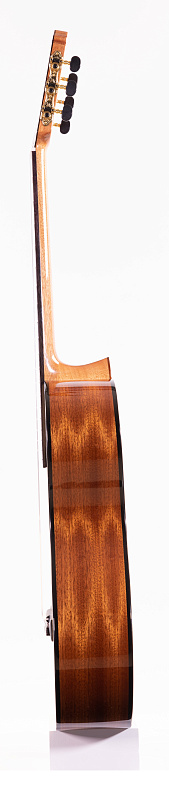 Фото Классическая гитара Martinez MC-20S/wbag Elementary Series
