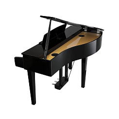 Цифровое пианино KAWAI DG30 EP