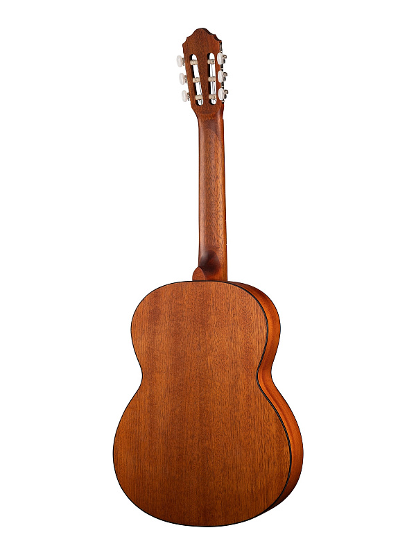 Фото Классическая гитара Parkwood PC90-WBAG-OP